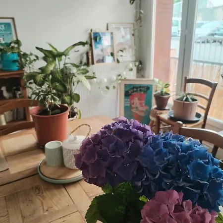 Grand Lumineux Avec Parking Gratuit *