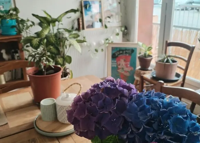 Grand Lumineux Avec Parking Gratuit *